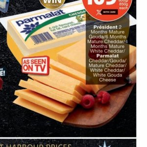 Gouda at Checkers