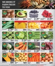 Catalogue Oxford freshmarket Kgotsong