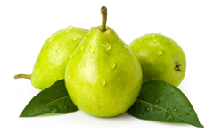 Pears