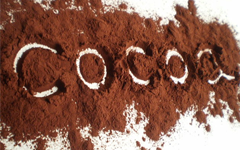 Cocoa