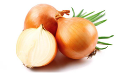 Onion