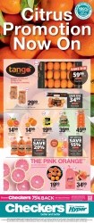 Catalogue Checkers Pietermaritzburg