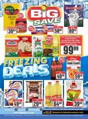 Catalogue Big save Elspark